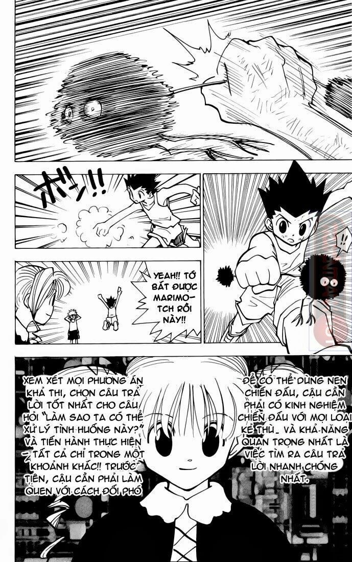 Hunter X Hunter Chapter 141 - Trang 2