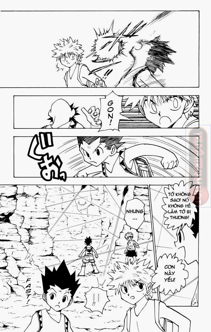 Hunter X Hunter Chapter 136 - Trang 2