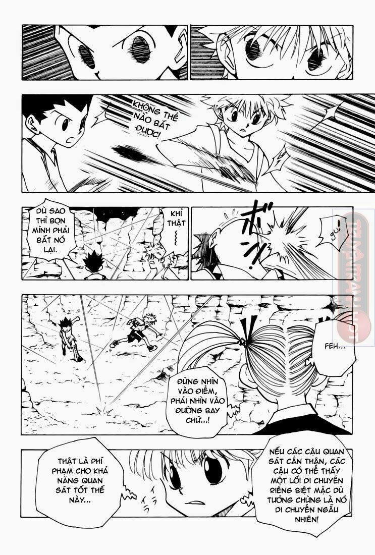 Hunter X Hunter Chapter 136 - Trang 2