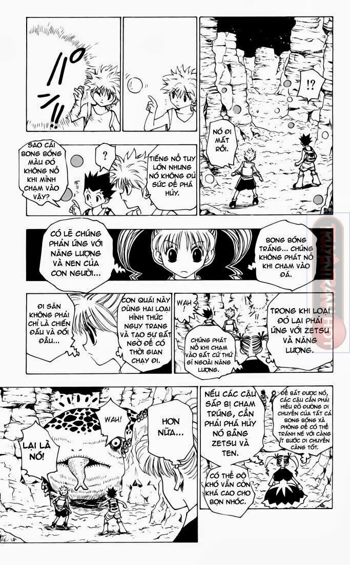 Hunter X Hunter Chapter 136 - Trang 2