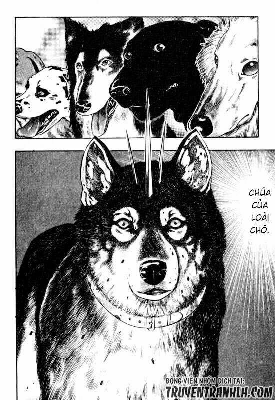 Inugami Chapter 13 - Trang 2