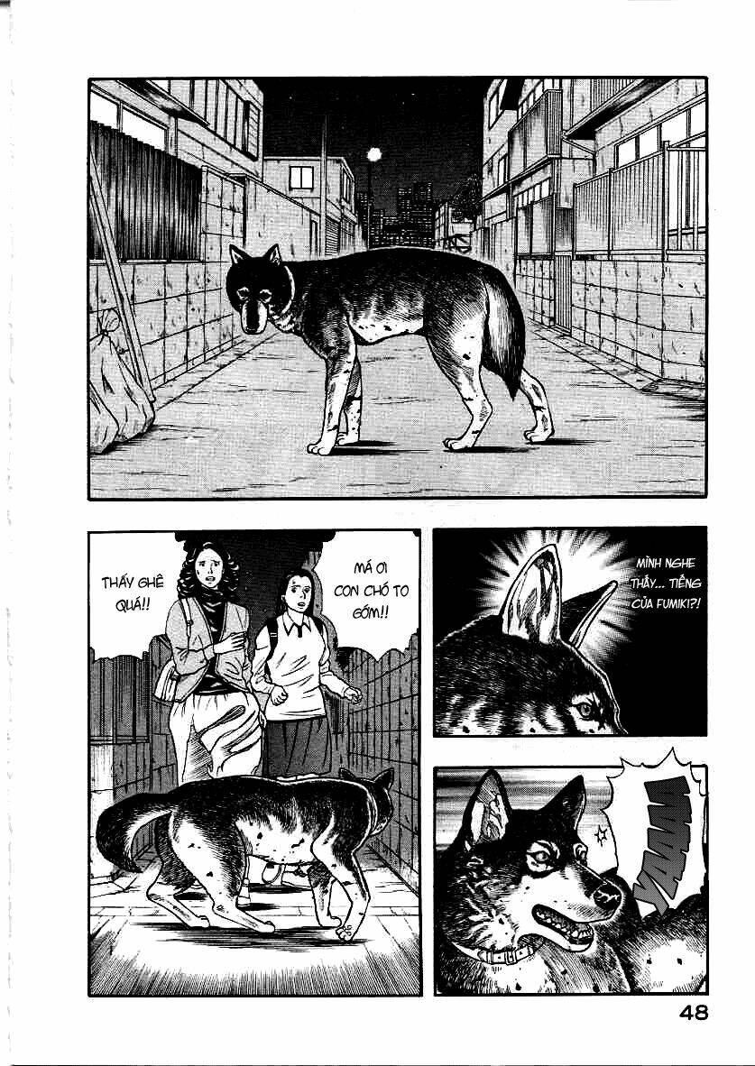 Inugami Chapter 11 - Trang 2