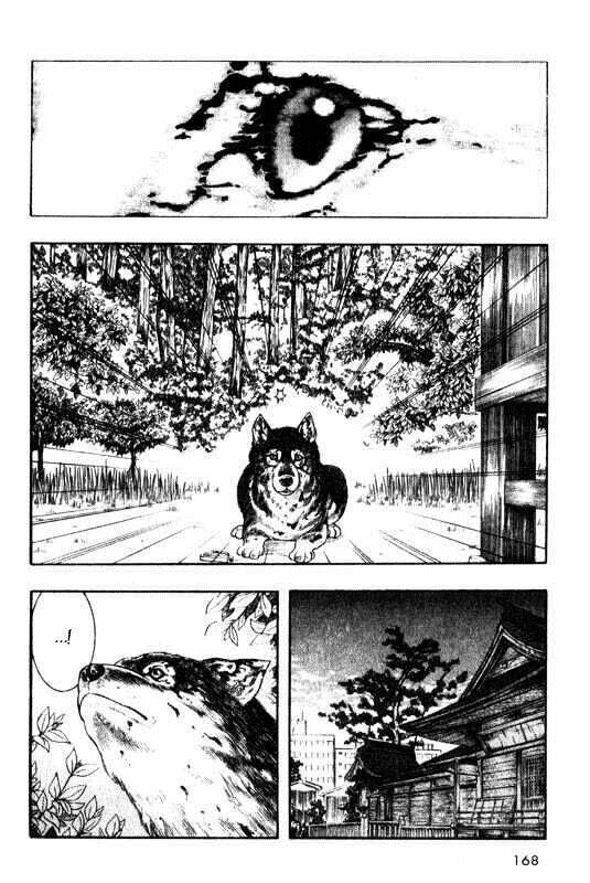 Inugami Chapter 9 - Trang 2