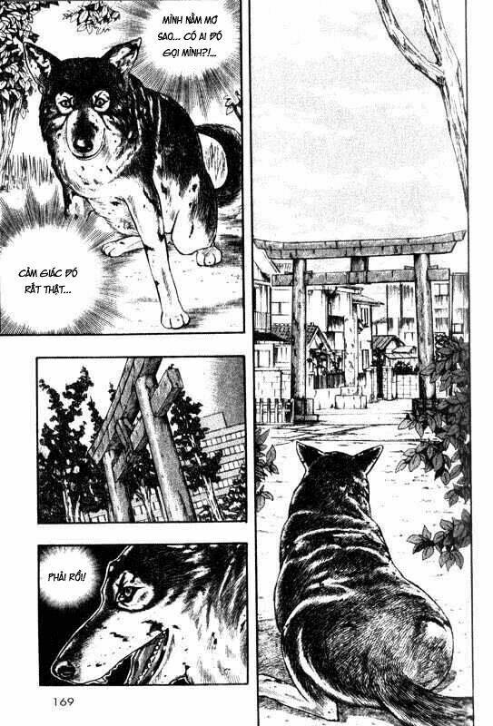 Inugami Chapter 9 - Trang 2