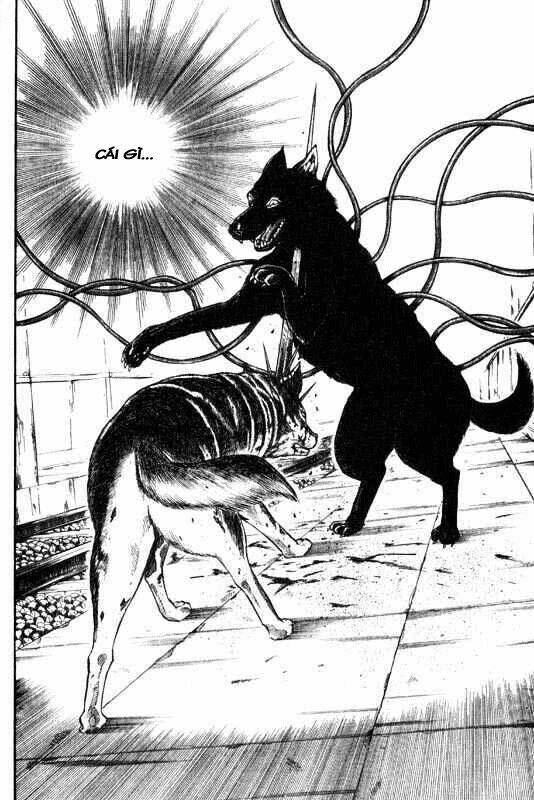 Inugami Chapter 7 - Trang 2