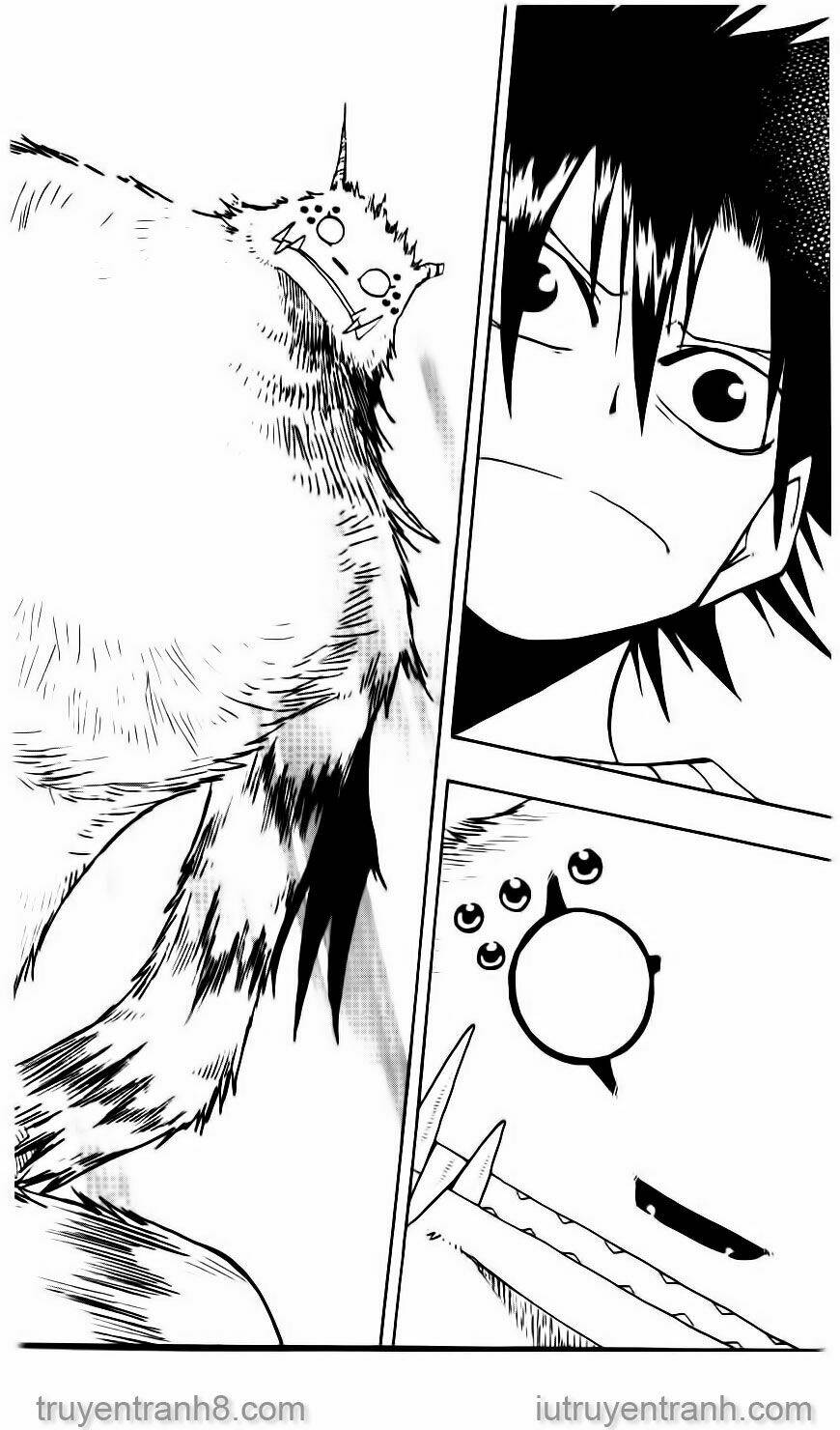 Law Of Ueki Chapter 95 - Trang 2