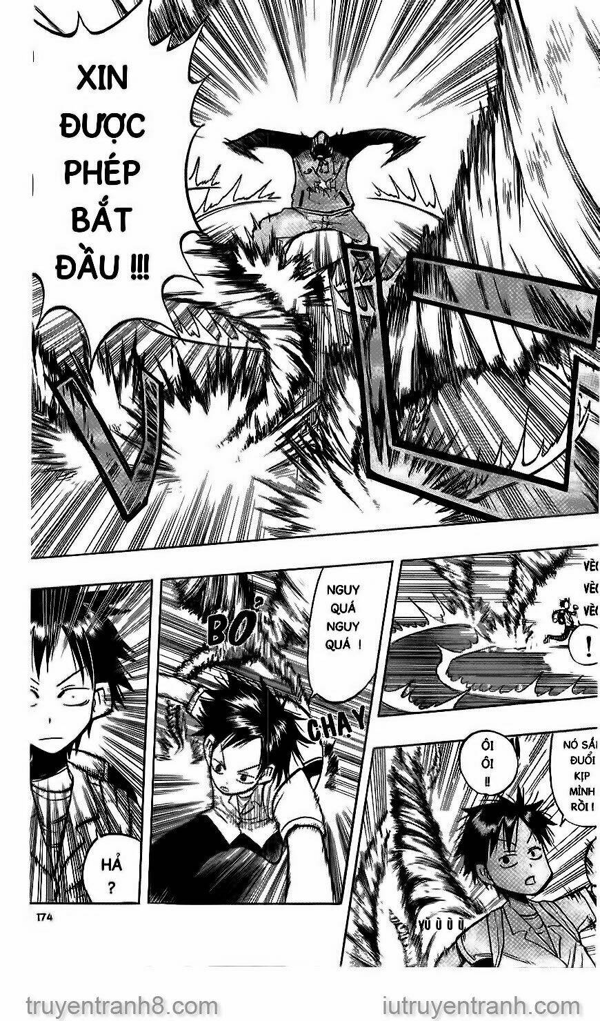 Law Of Ueki Chapter 18 - Trang 2