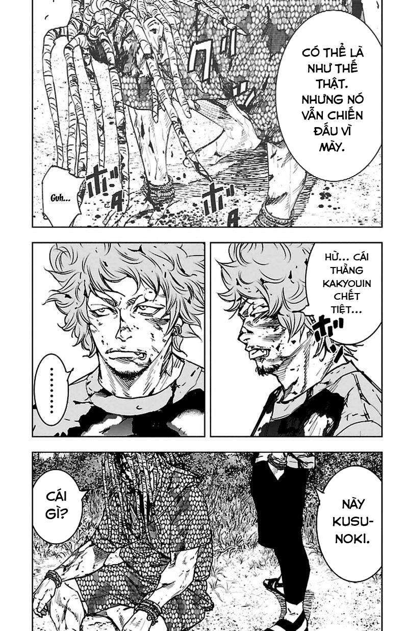 Clover Chapter 377 - Trang 2