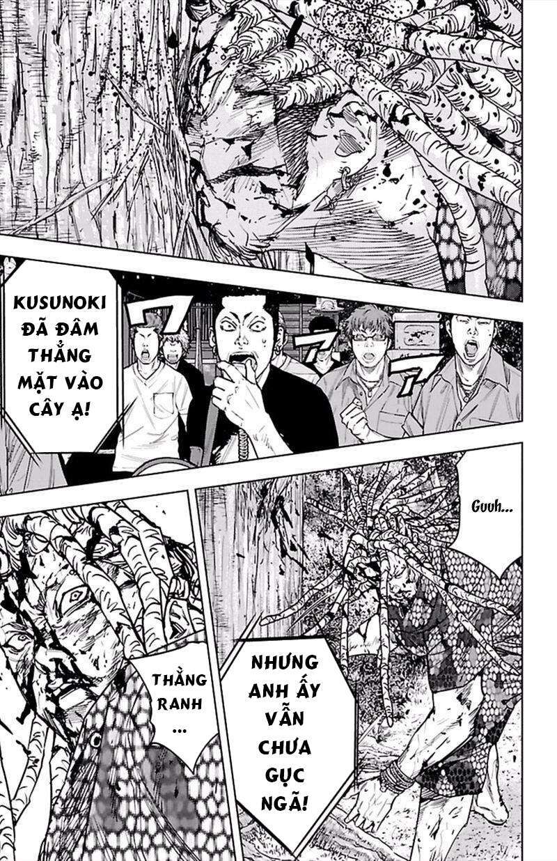 Clover Chapter 374 - Trang 2