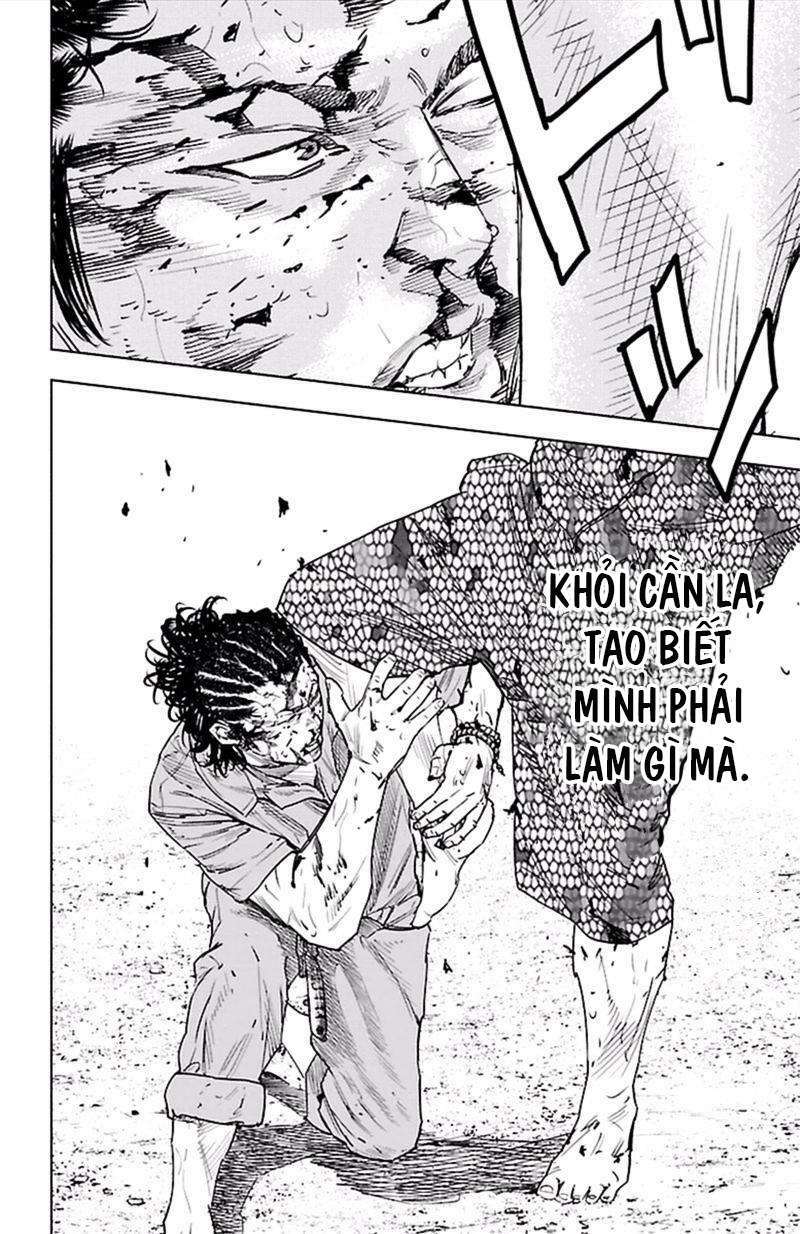 Clover Chapter 373 - Trang 2