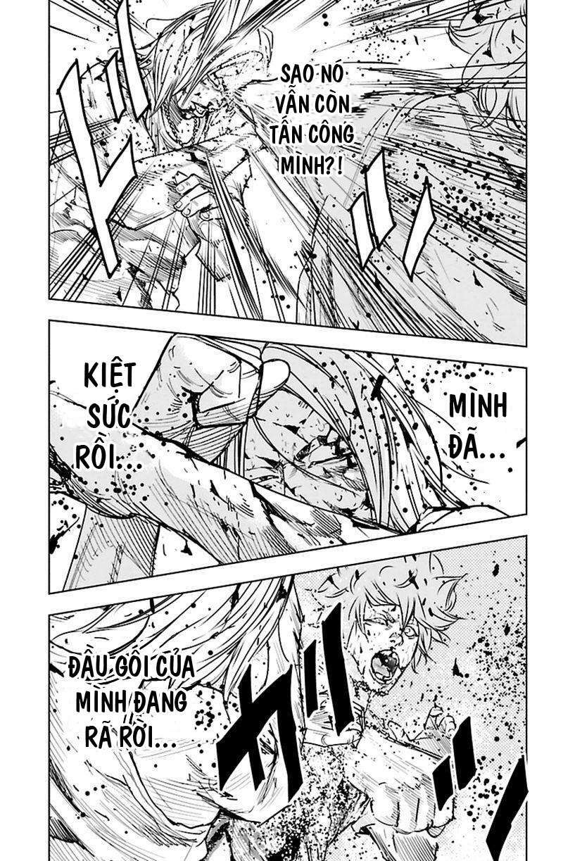 Clover Chapter 364 - Trang 2