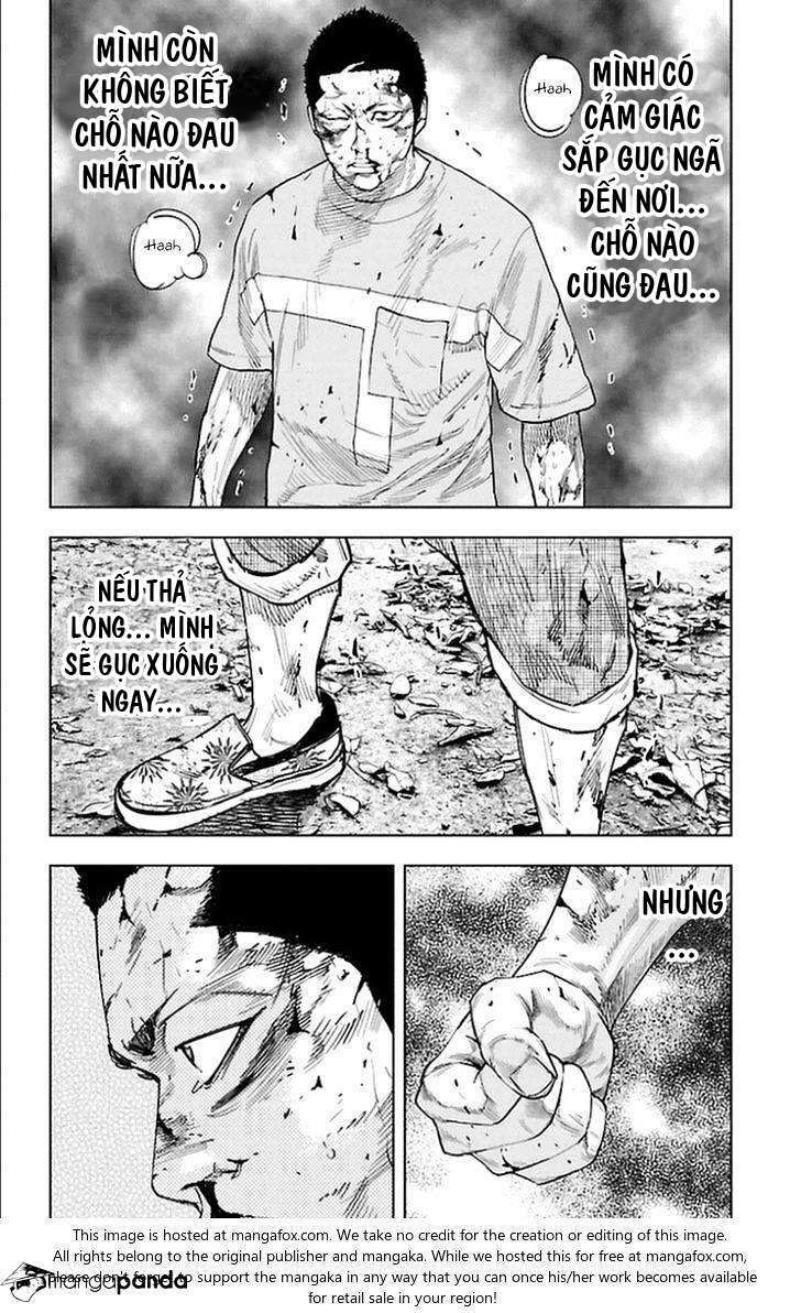 Clover Chapter 338 - Trang 2