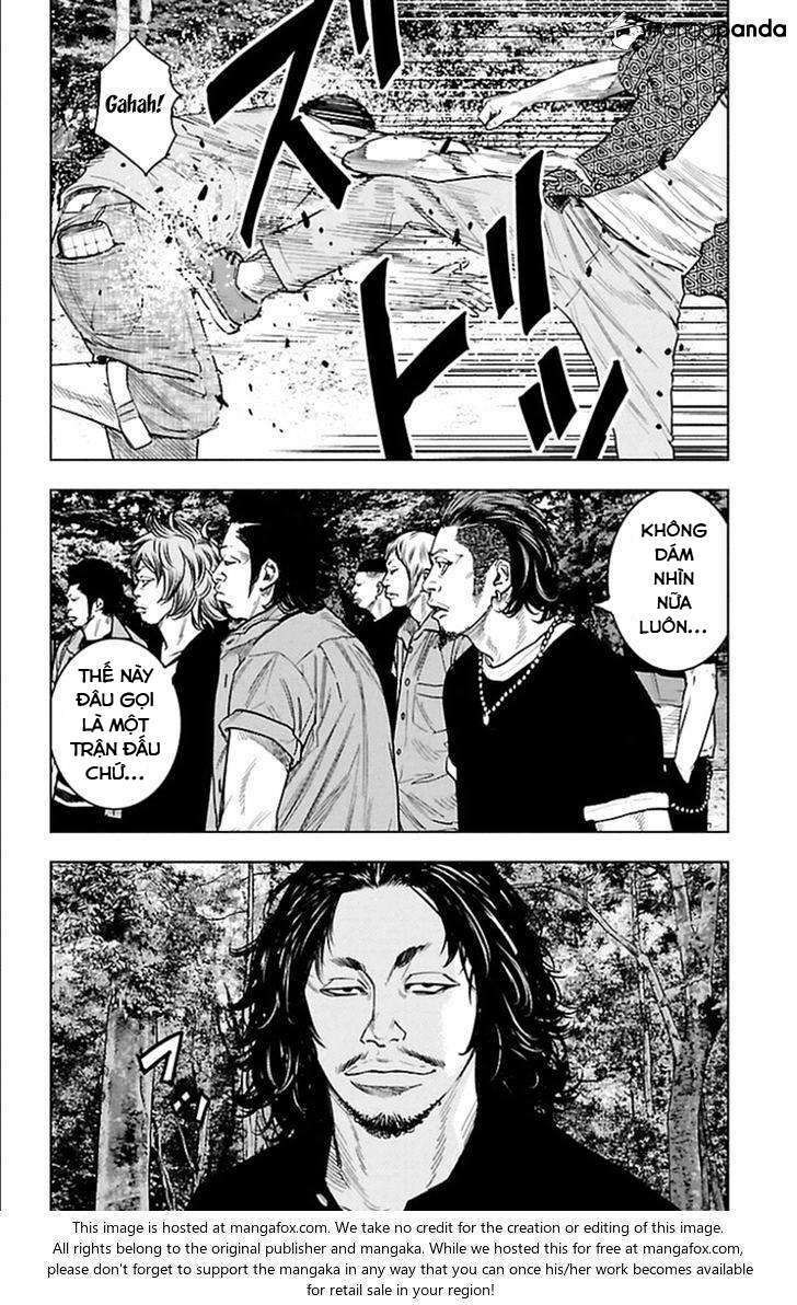 Clover Chapter 338 - Trang 2