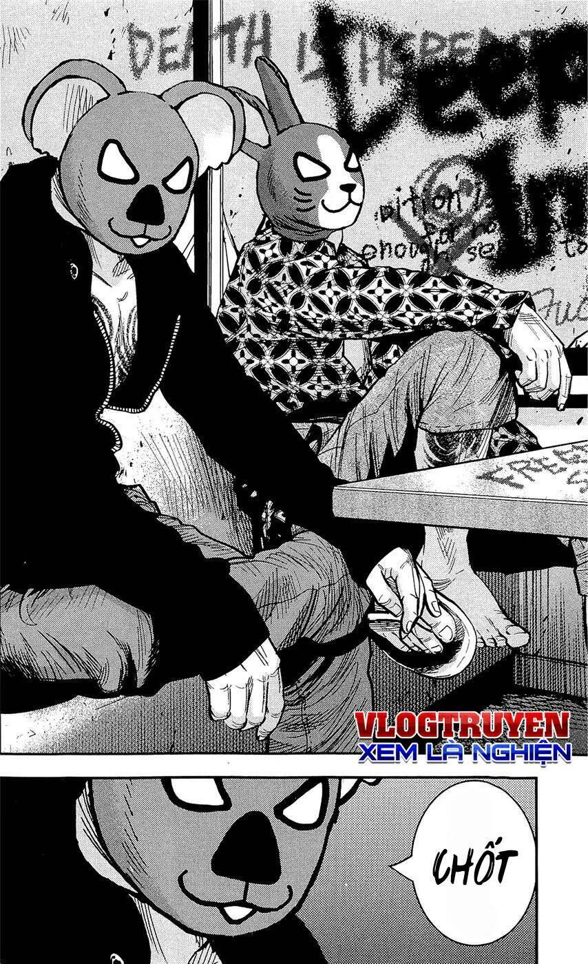 Clover Chapter 207 - Trang 2