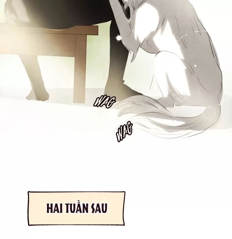 Tôi Là Kẻ Phản Diện Chapter 13 - Trang 2