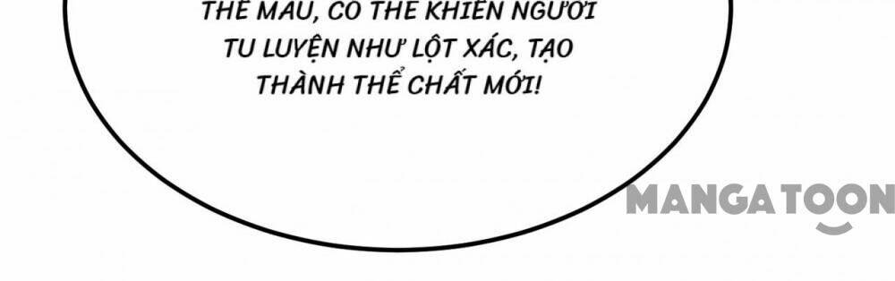 Nhặt Được Hoa Khôi Về Làm Vợ Chapter 215 - Trang 2