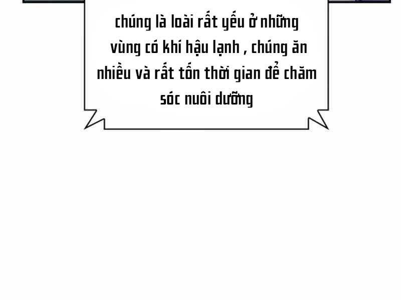 Tôi Có Đặc Tính Của Cấp Sss Nhưng Thích Sống Bình Thường Chapter 23 - Trang 2