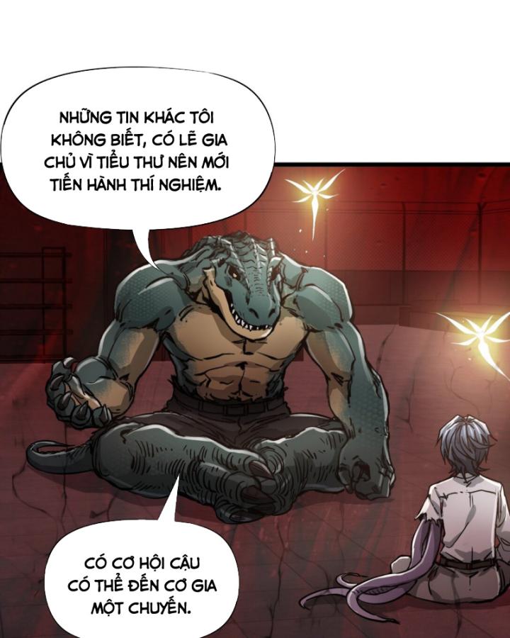 Bàn Tay Thần Thánh Chapter 12 - Trang 2