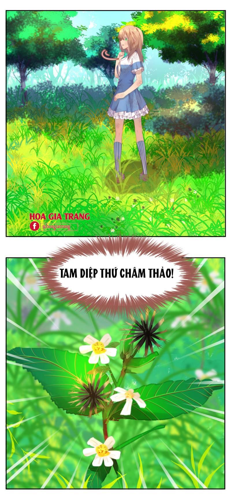 Thanh Âm Giai Điệu Phản Công Chapter 29 - Trang 2