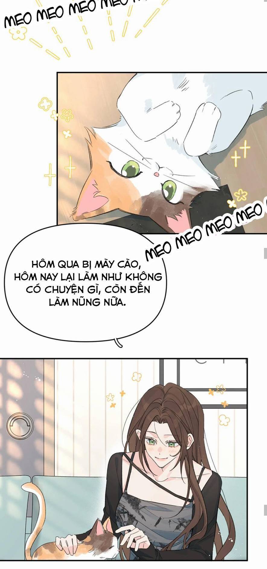 Hôm Nay Anh Có Lộ Bí Mật Chưa? Chapter 26 - Trang 2