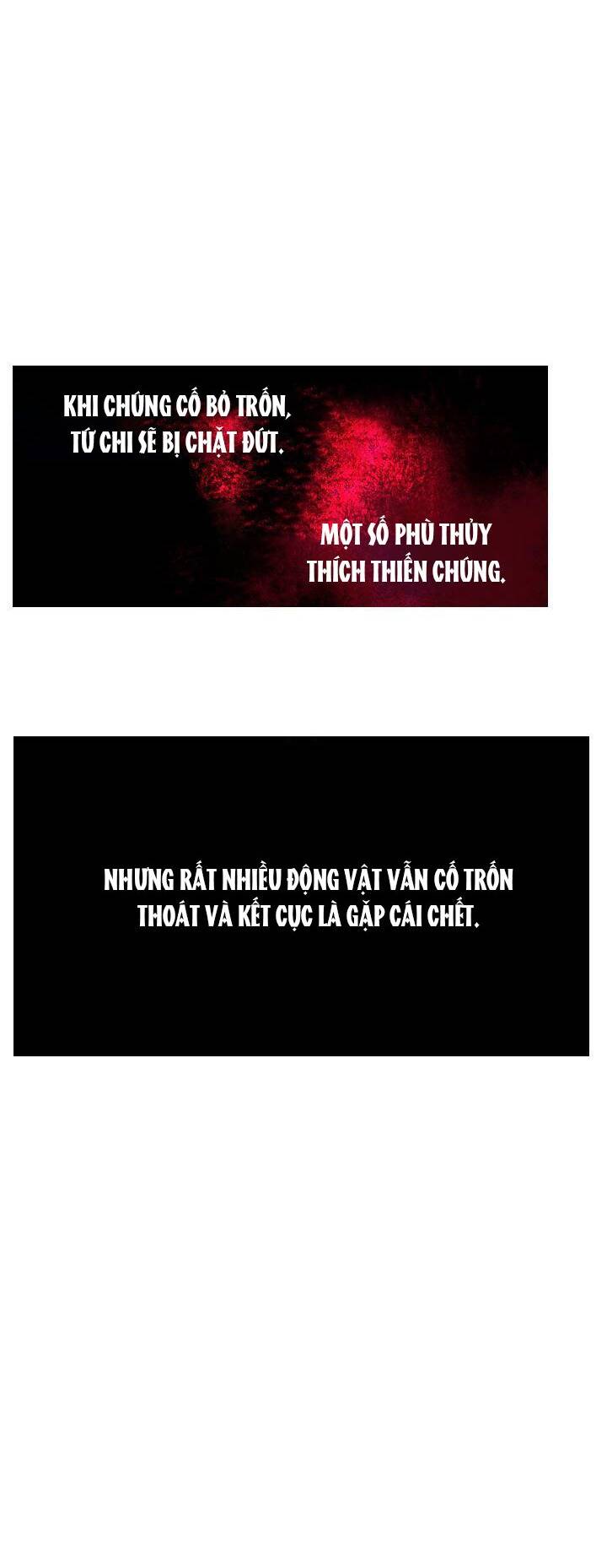 Nàng Phù Thủy Của Tôi Chapter 13 - Trang 2