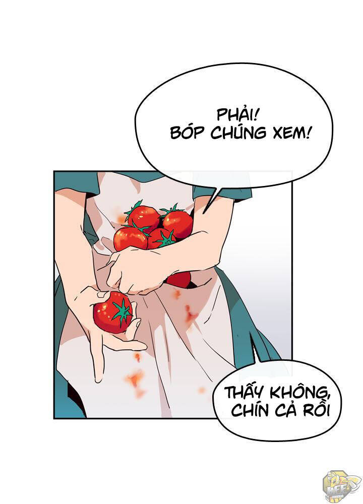 Nàng Phù Thủy Của Tôi Chapter 1 - Trang 2