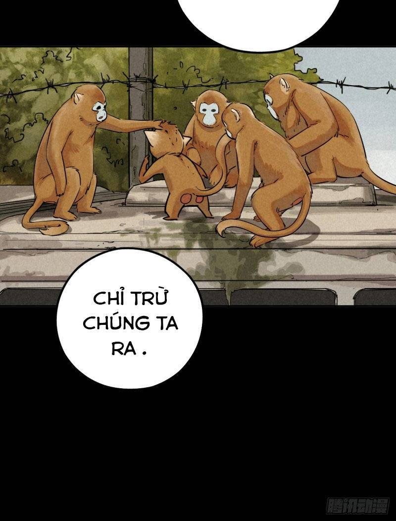 Ách Thế Quỹ Tích Chapter 50 - Trang 2