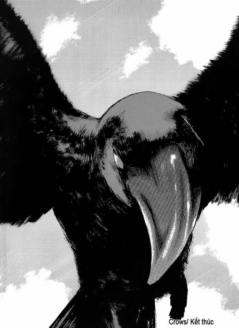 Crows Chapter 95 - Trang 2