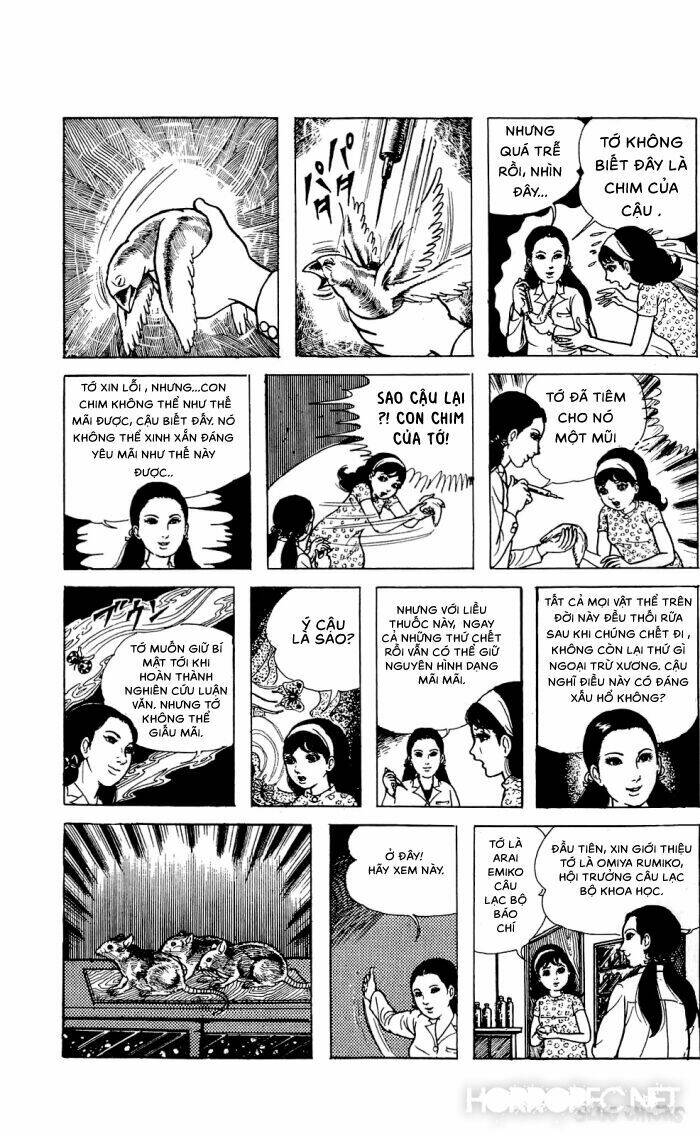 Tuyển Tập Truyện Ngắn Kinh Dị Chapter 3 - Trang 2