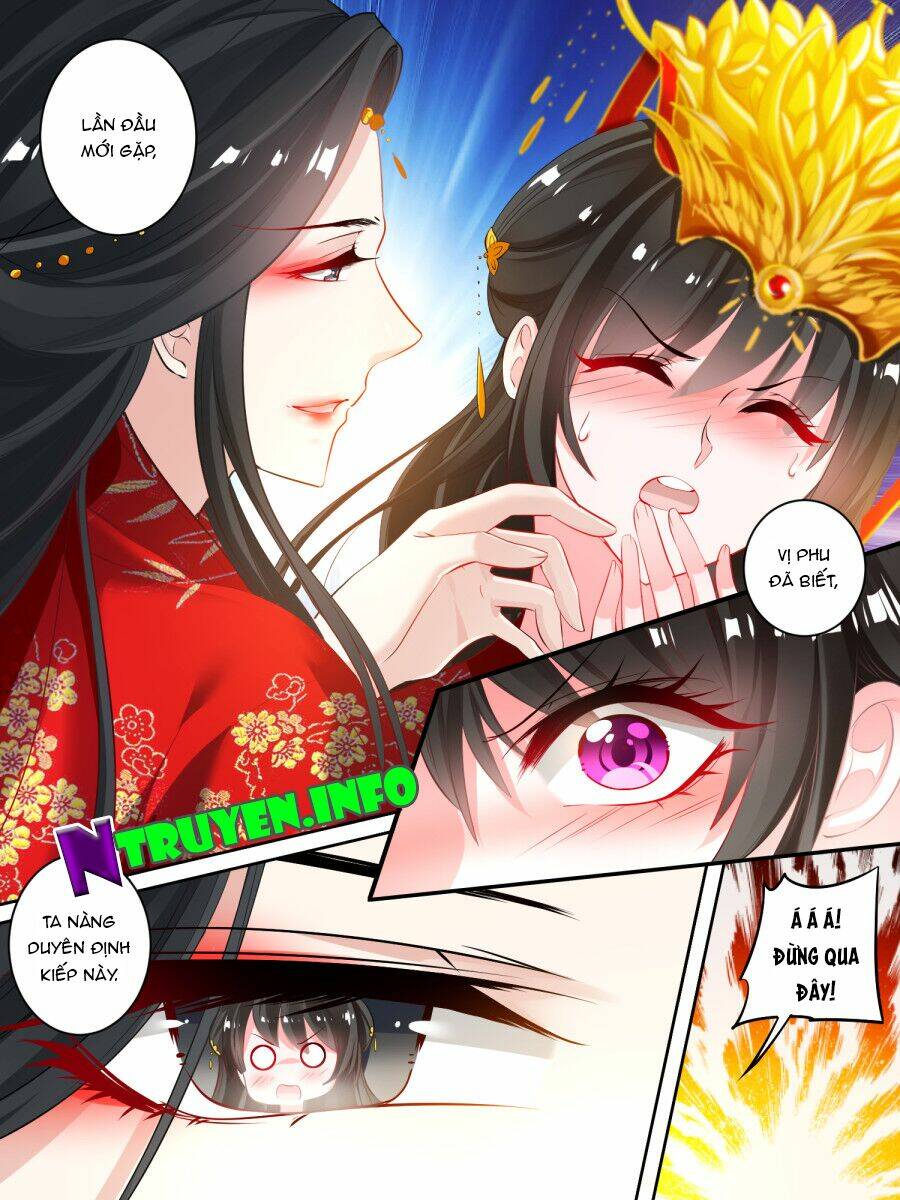 Xú Nữ Đích Hậu Cung Chapter 23 - Trang 2