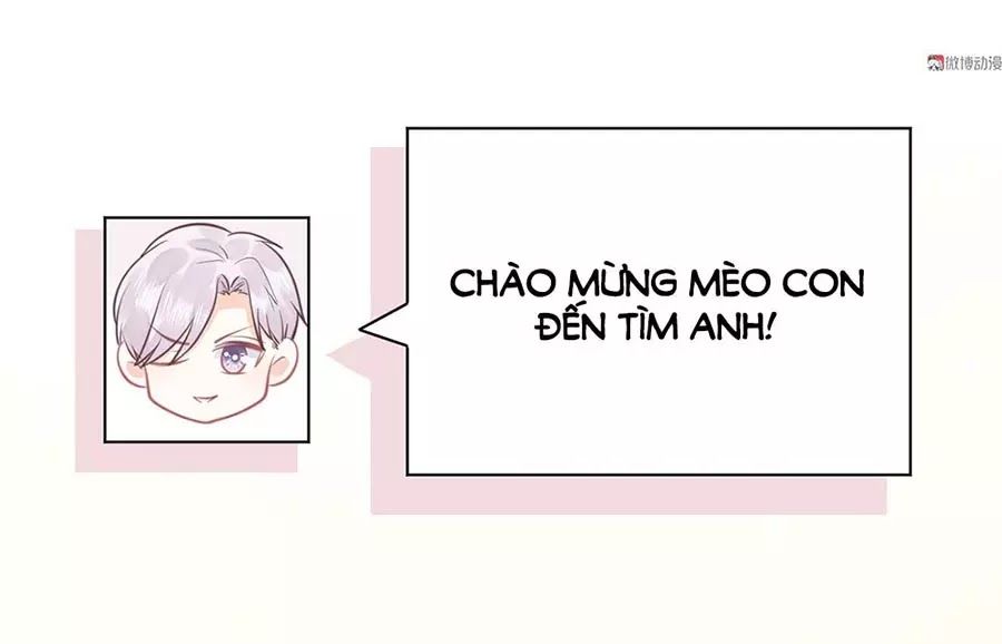 Bọn Họ Đều Muốn Gả Cho Tôi Làm Sao Đây? Chapter 20 - Trang 2