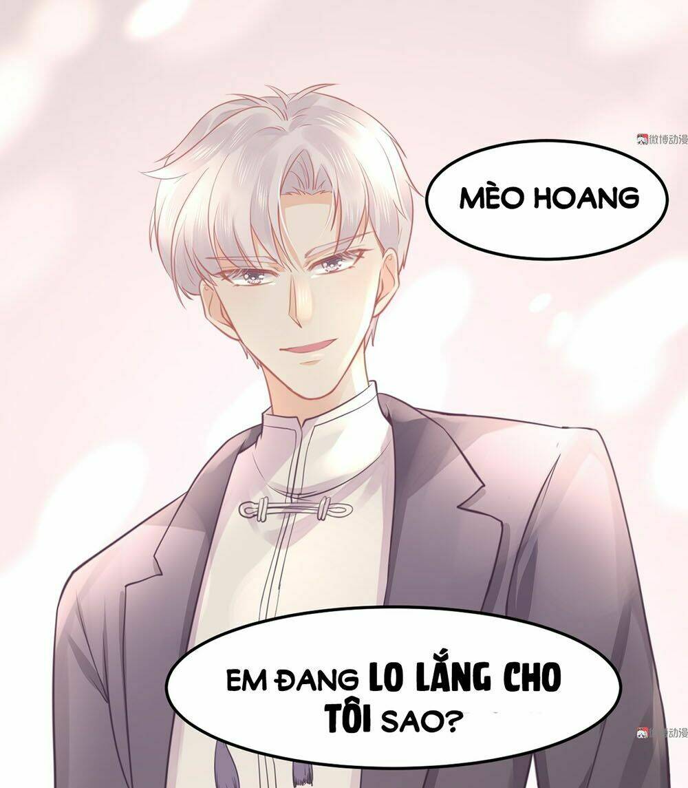 Bọn Họ Đều Muốn Gả Cho Tôi Làm Sao Đây? Chapter 14 - Trang 2