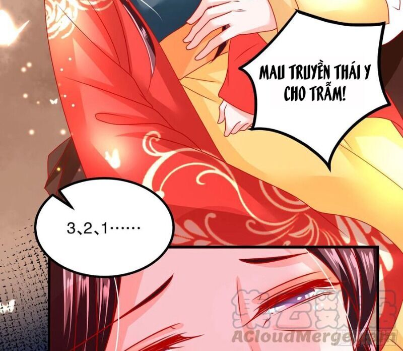 Ta Phải Làm Hoàng Hậu Chapter 35 - Trang 2