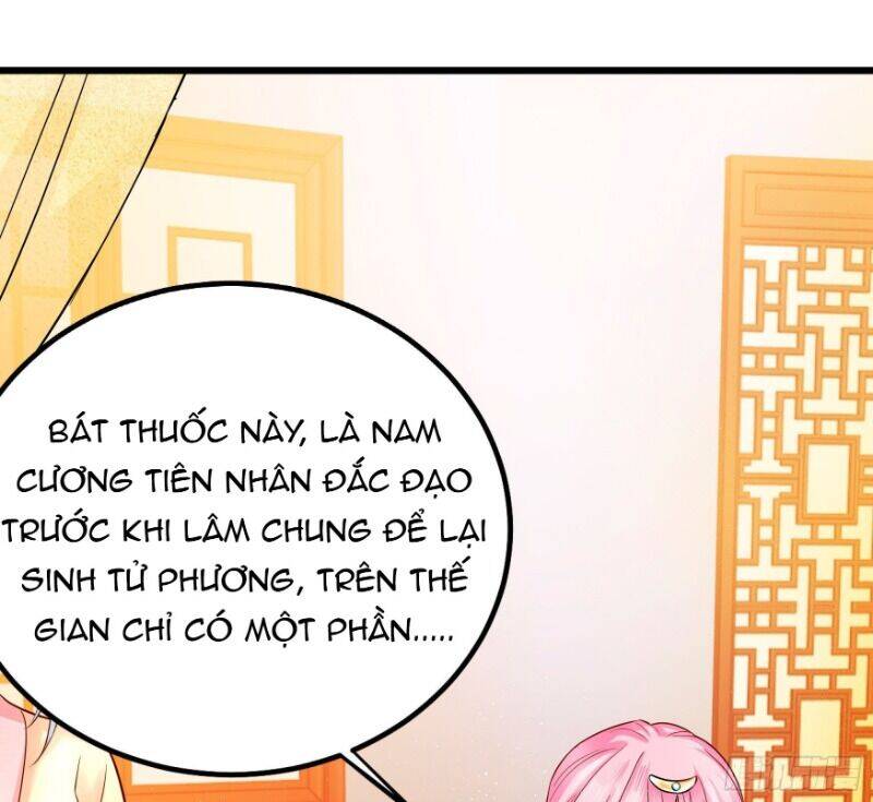 Ta Phải Làm Hoàng Hậu Chapter 5 - Trang 2