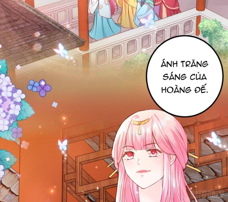 Ta Phải Làm Hoàng Hậu Chapter 4 - Trang 2