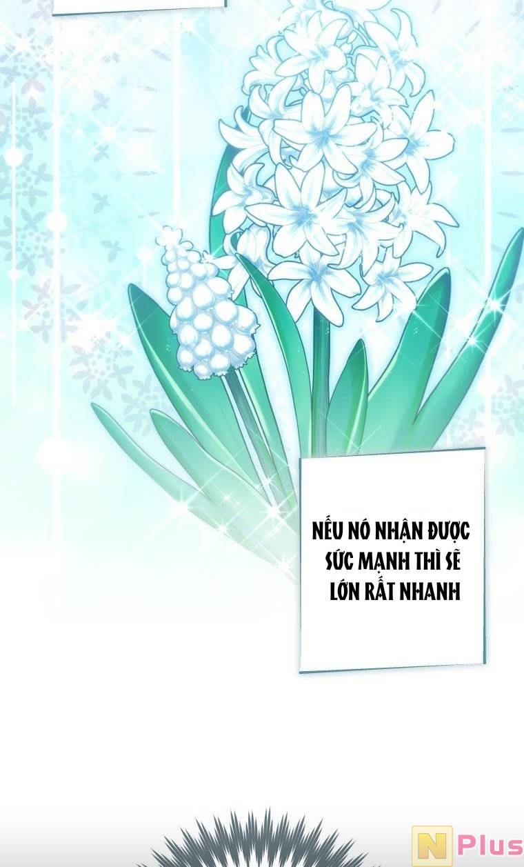 Thánh Nữ Được Đại Công Tước Nhận Nuôi Chapter 18 - Trang 2