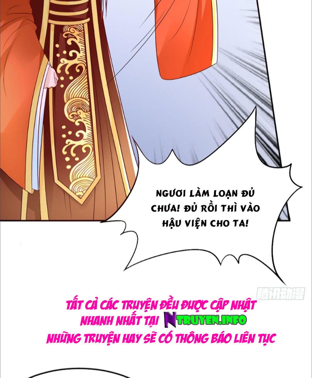 Phượng Hoàng Ngàn Năm Chapter 7 - Trang 2