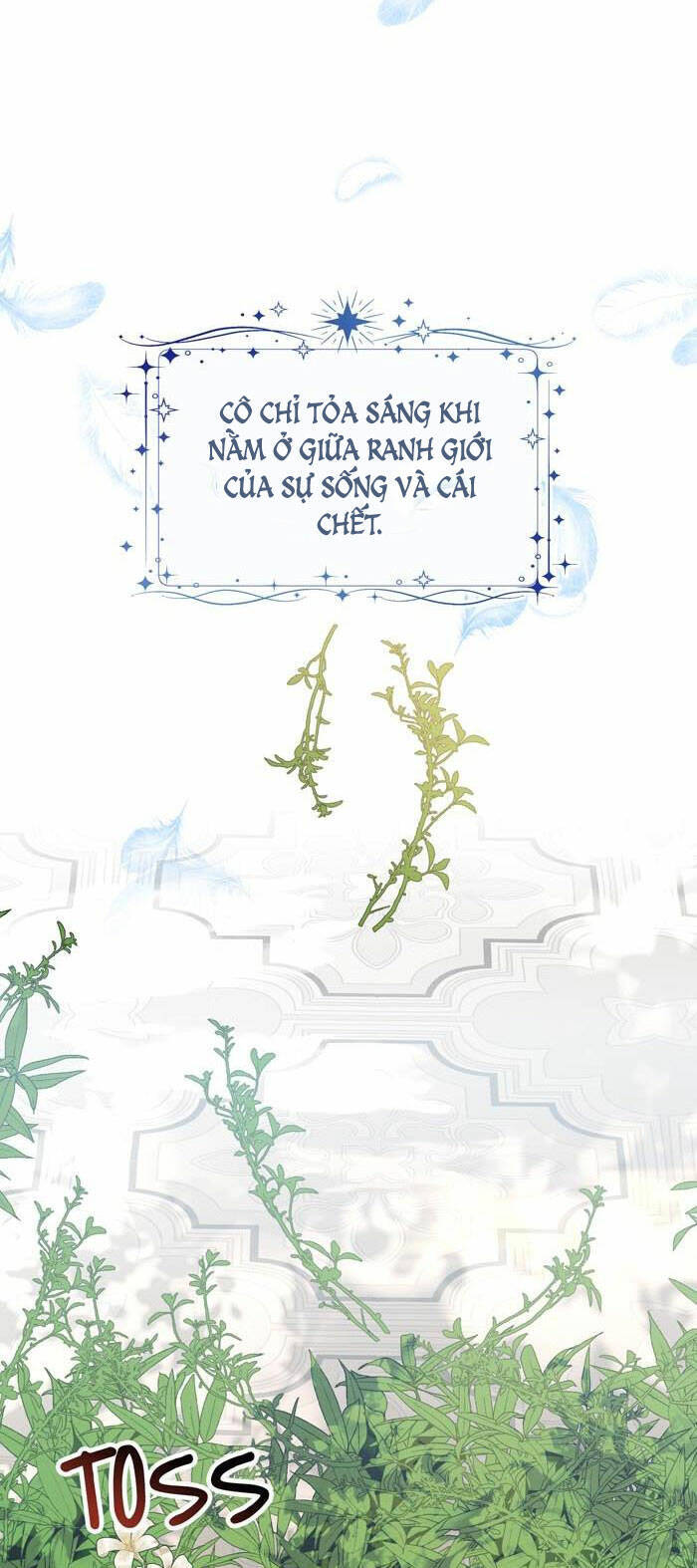 Tỏa Sáng Rực Rỡ Chapter 8.1 - Trang 2