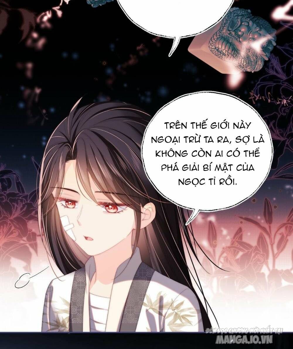 Dưỡng Địch Vi Hoạn Chapter 219 - Trang 2