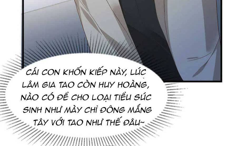 Trọng Sinh Trở Lại: Sủng Nịch Độc Nhất Vô Nhị Chapter 205 - Trang 2