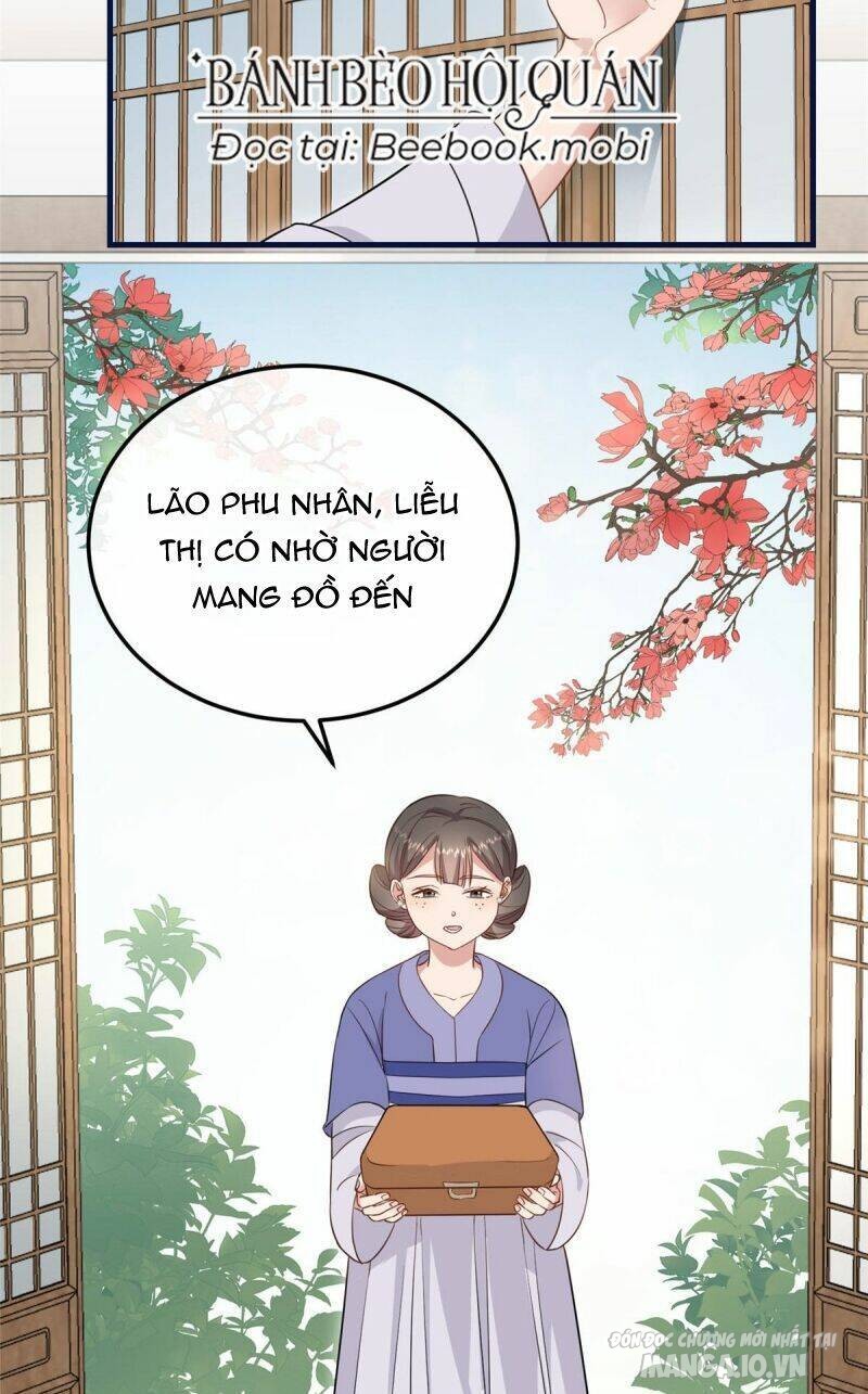 Sau Khi Sống Lại, Ta Trở Thành Kiều Thê Của Quyền Thần Chapter 4 - Trang 2