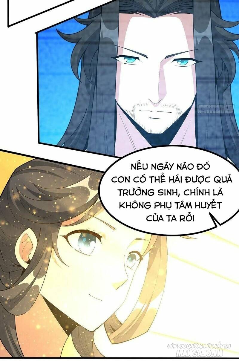 Kiếm Tu Imba Nhất Quả Đất Chapter 196 - Trang 2