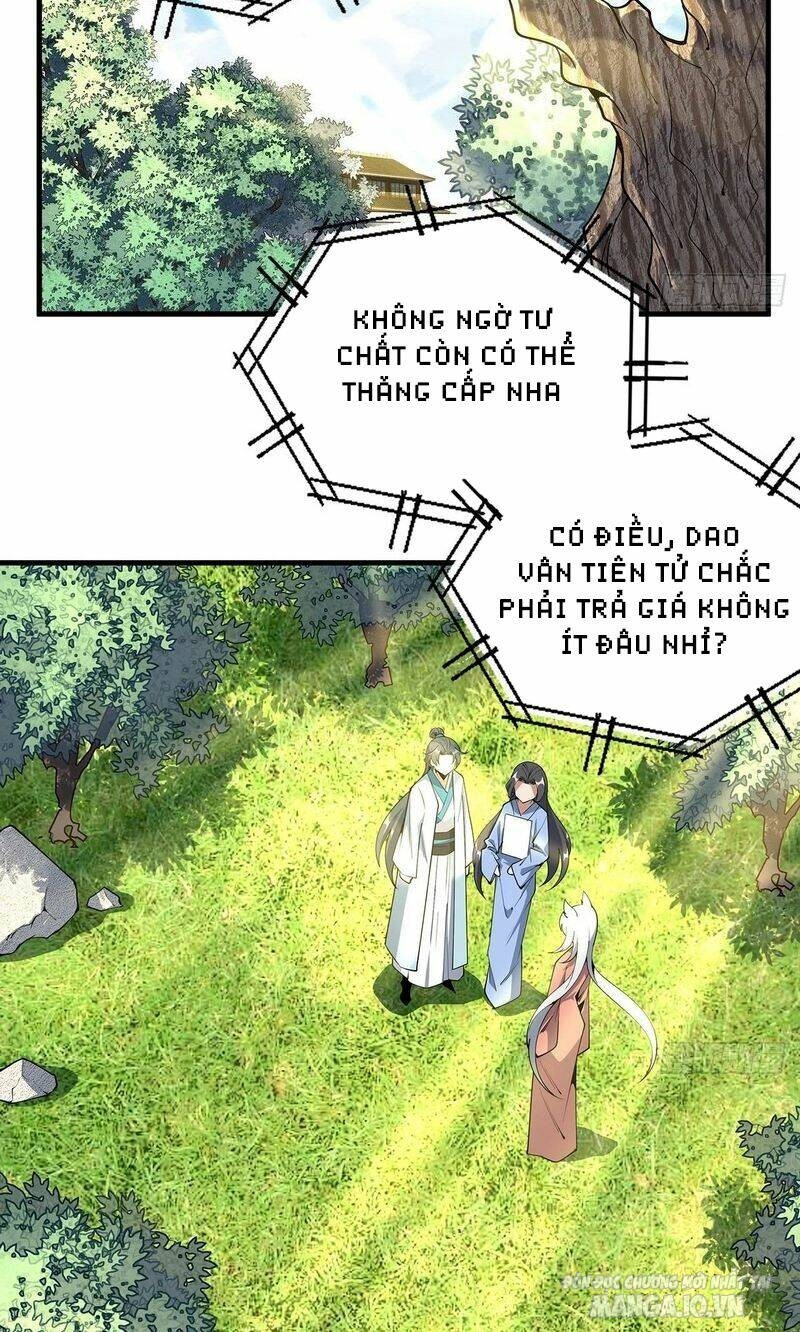 Kiếm Tu Imba Nhất Quả Đất Chapter 196 - Trang 2