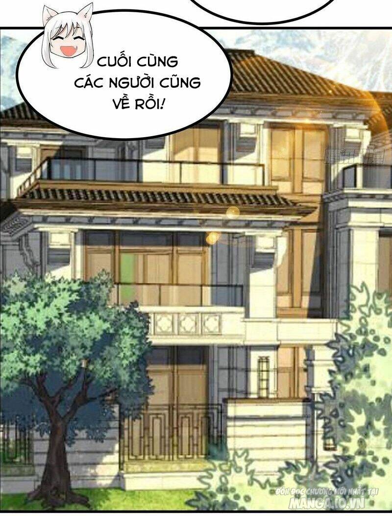 Kiếm Tu Imba Nhất Quả Đất Chapter 195 - Trang 2