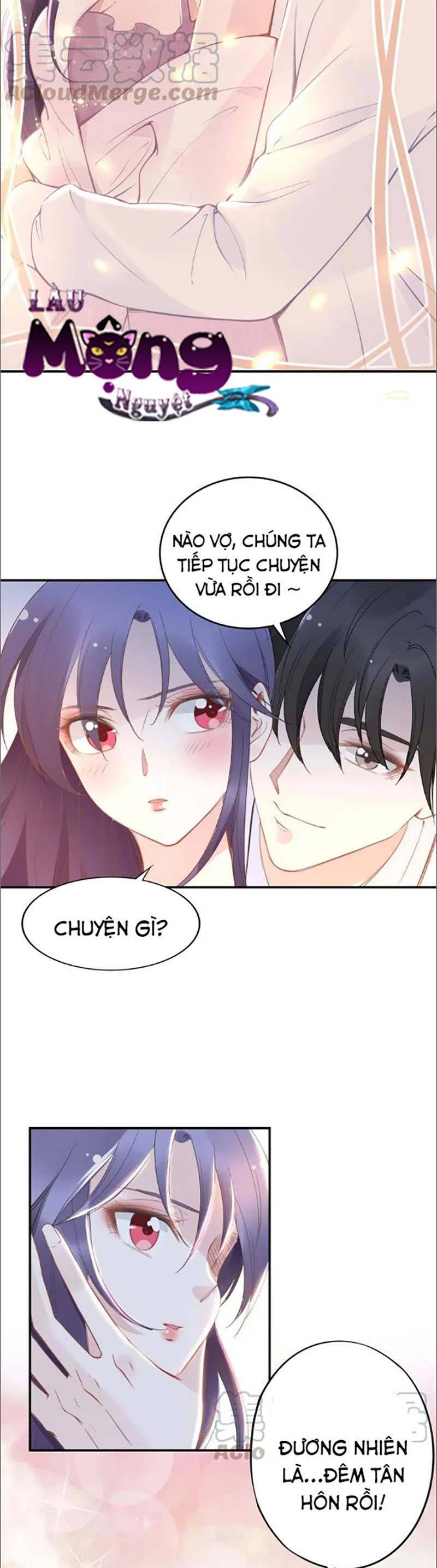 Quyền Thiểu, Nhĩ Lão Bà Yêu Bào Liễu Chapter 41 - Trang 2