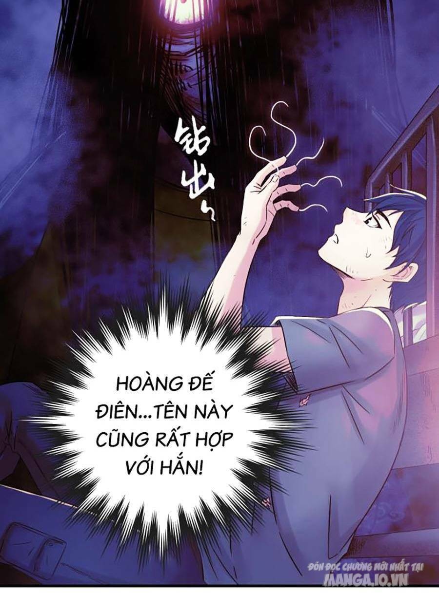 Kí Hiệu Cuối Cùng Chapter 3 - Trang 2