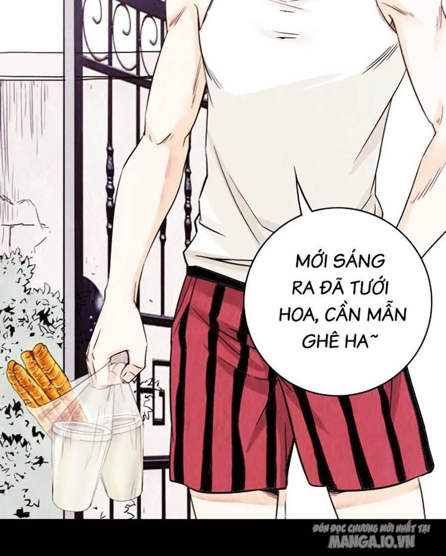 Kí Hiệu Cuối Cùng Chapter 1 - Trang 2