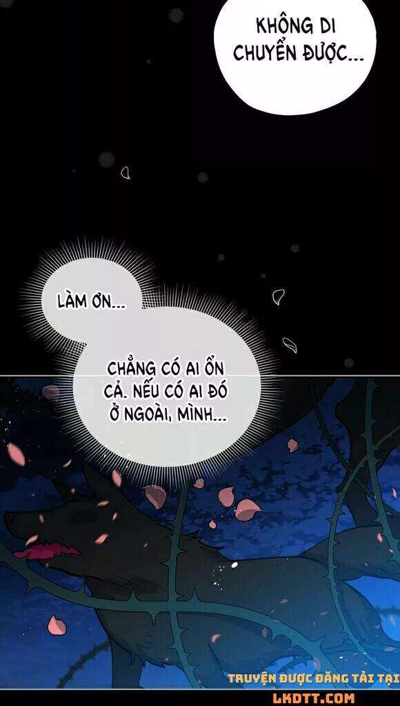 Quý Cô Khó Gần Chapter 19 - Trang 2