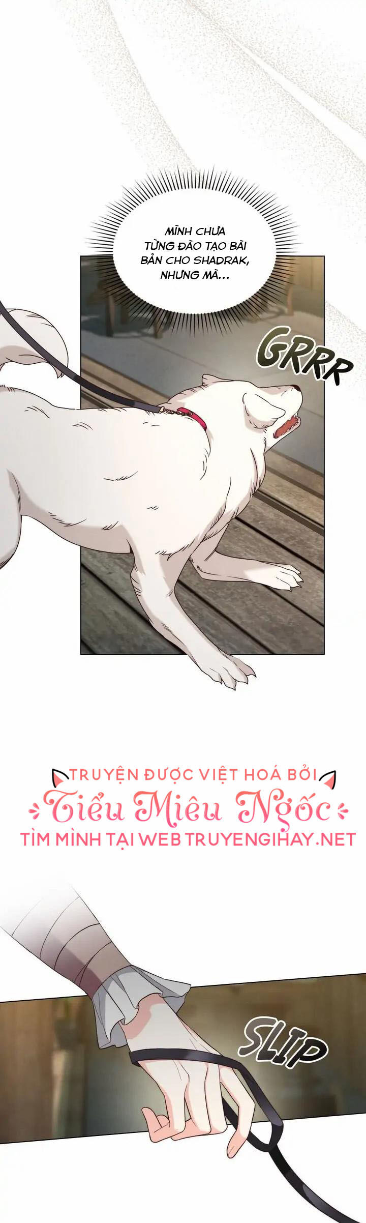 Ánh Sáng Vàng Của Bình Minh Chapter 41 - Trang 2