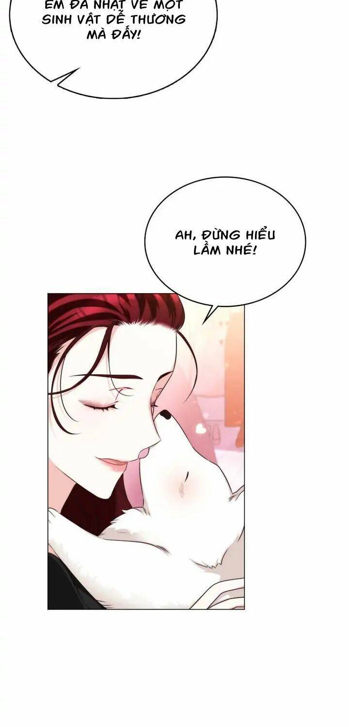 Ánh Sáng Vàng Của Bình Minh Chapter 6 - Trang 2